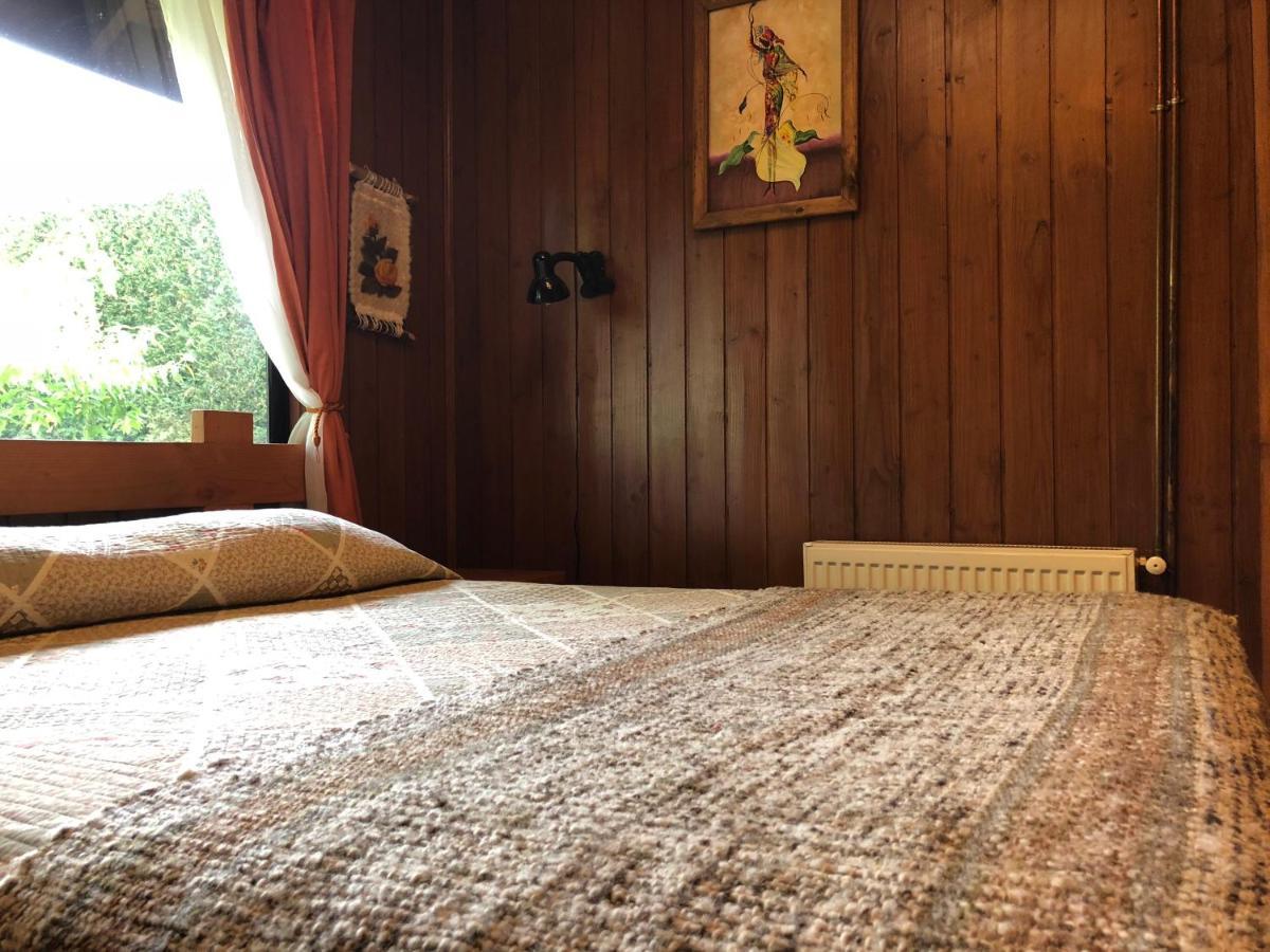 Hostal El Nogal Pucon Luaran gambar