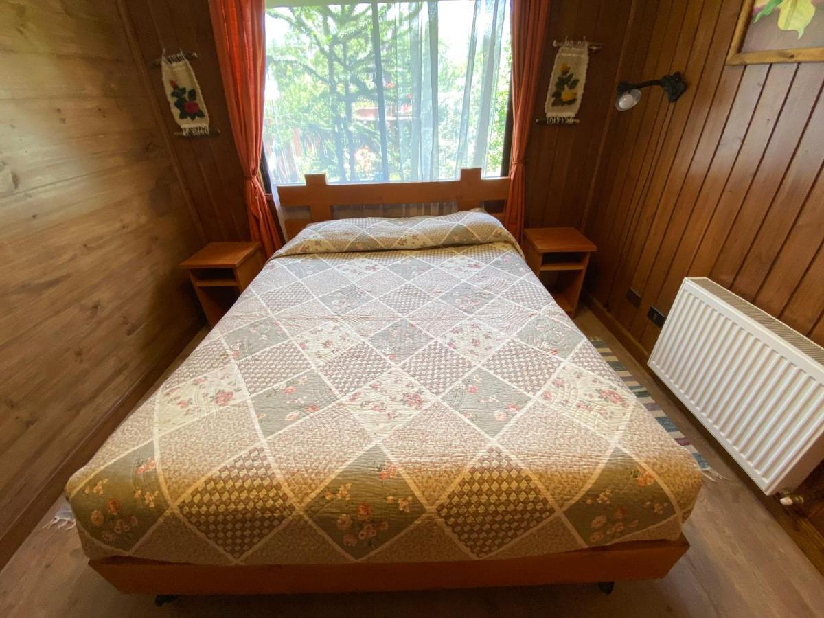 Hostal El Nogal Pucon Luaran gambar