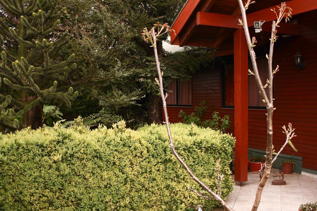 Hostal El Nogal Pucon Luaran gambar